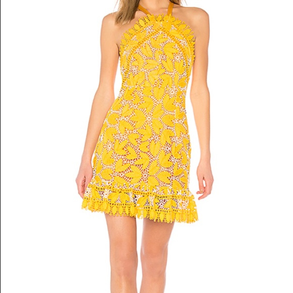 Marianna Halter Dress